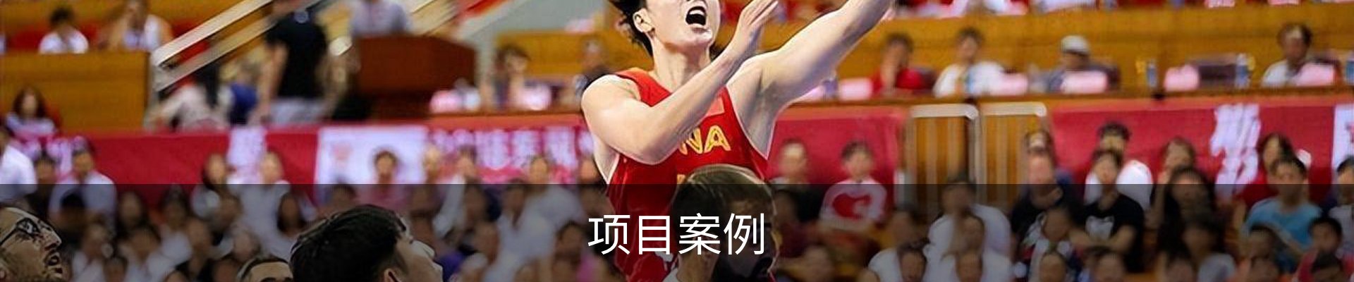 项目案例